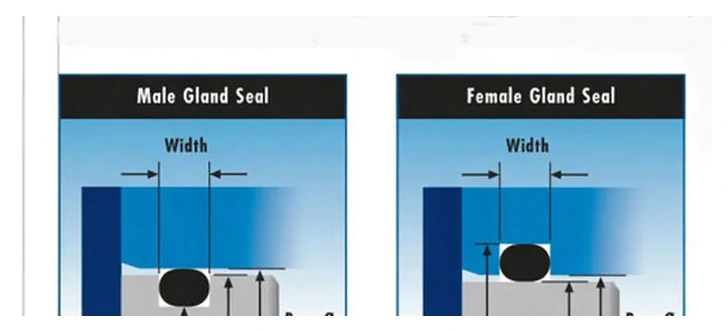 O-Ring gland diagram