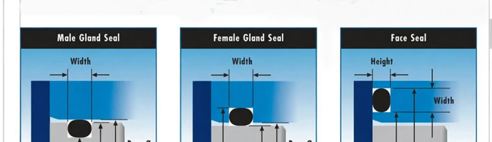 Male, female, and face O-Ring glands with height and width dimension arrows
